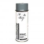 Vopsea Spray Gri Argintiu, Luciu Intens, Ral 7001, 400 ml, Brilliante