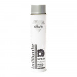 Vopsea Spray Pentru Jante Argintiu 600 ml Brilliante