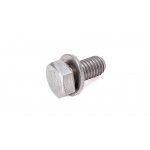 Hex bolt with washer 07119905528