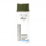 Vopsea Spray Verde Masliniu, Ral 6003, 400 ml, Brilliante