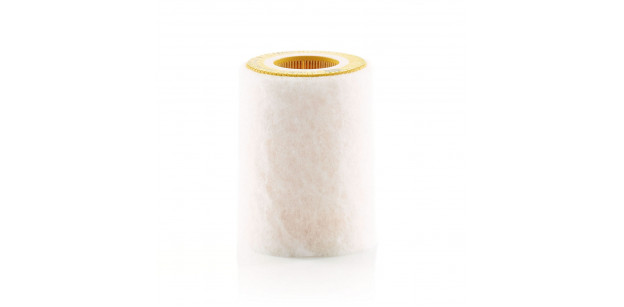 Filtru Aer Motor Mann-Filter C1036/2 – Smart Fortwo, Fortwo Cabrio (450)