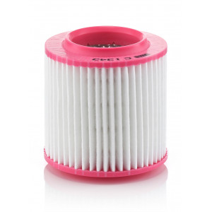 Filtru Aer Motor Mann-Filter C 1343 - VW Group