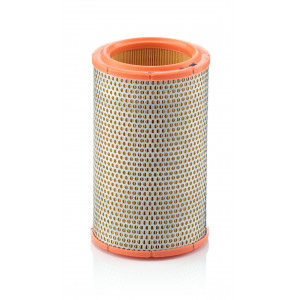 Filtru Aer Motor Mann-Filter C 1387 - Renault