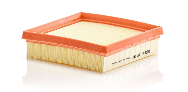 Filtru Aer Mann-Filter C18021 – 174mm Lungime