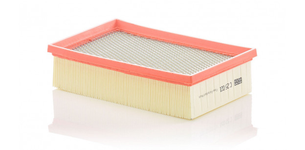 Filtru Aer Motor Mann-Filter C 25 021 - Fomoco, Jaguar Filtru Aer Motor Mann-Filter C 25 021 - Fomoco, Jaguar