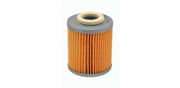 Filtru Ulei Cutie Automata Mann-Filter H710/1x – Irisbus Access/Agora/Ares, Mercedes-Benz Capacity/Citaro/Conecto, Scania 3/4/Irizar Filtru Ulei Cutie Automata Mann-Filter H710/1x – Irisbus Access/Agora/Ares, Mercedes-Benz Capacity/Citaro/Conecto, Scania 3/4/Irizar