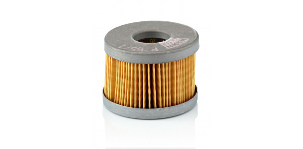 Filtru Combustibil Benzina Mann-Filter P 65/1 x - Aveling-Barford, Foden, J.C.Bamford Filtru Combustibil Benzina Mann-Filter P 65/1 x - Aveling-Barford, Foden, J.C.Bamford