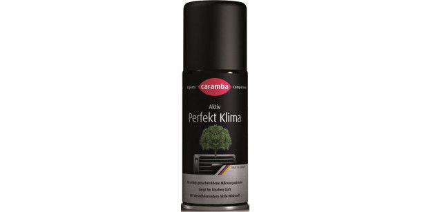 Spray Curatare Aer Conditionat Caramba 100 ml