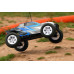 Automodel Ftx Carnage 1/10 4x4 RTR Brushed
